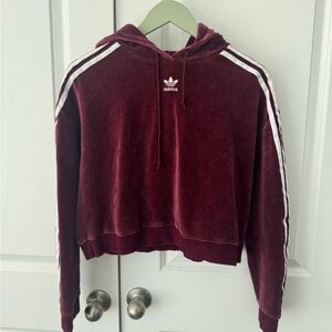 Adidas® Originals Velour Cropped Hoodie Sweatshirt in Size S